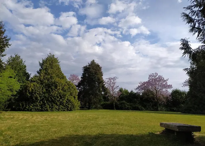 Domaine Moulin D' Elemiah * Gémozac